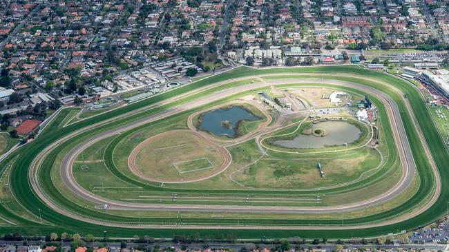 Nature-based play and picnic areas would be created at Caulfield over 15 years under the plan. Picture: Jake Nowakowski