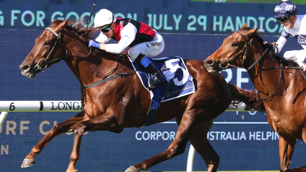 Grebeni can kick off his campaign with a win at Randwick on Saturday. Picture: Grant Guy