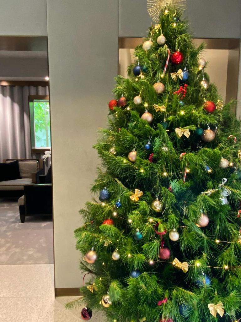Roxy went for a real Christmas tree for her Sydney office. Picture: Instagram/RoxyJacenko