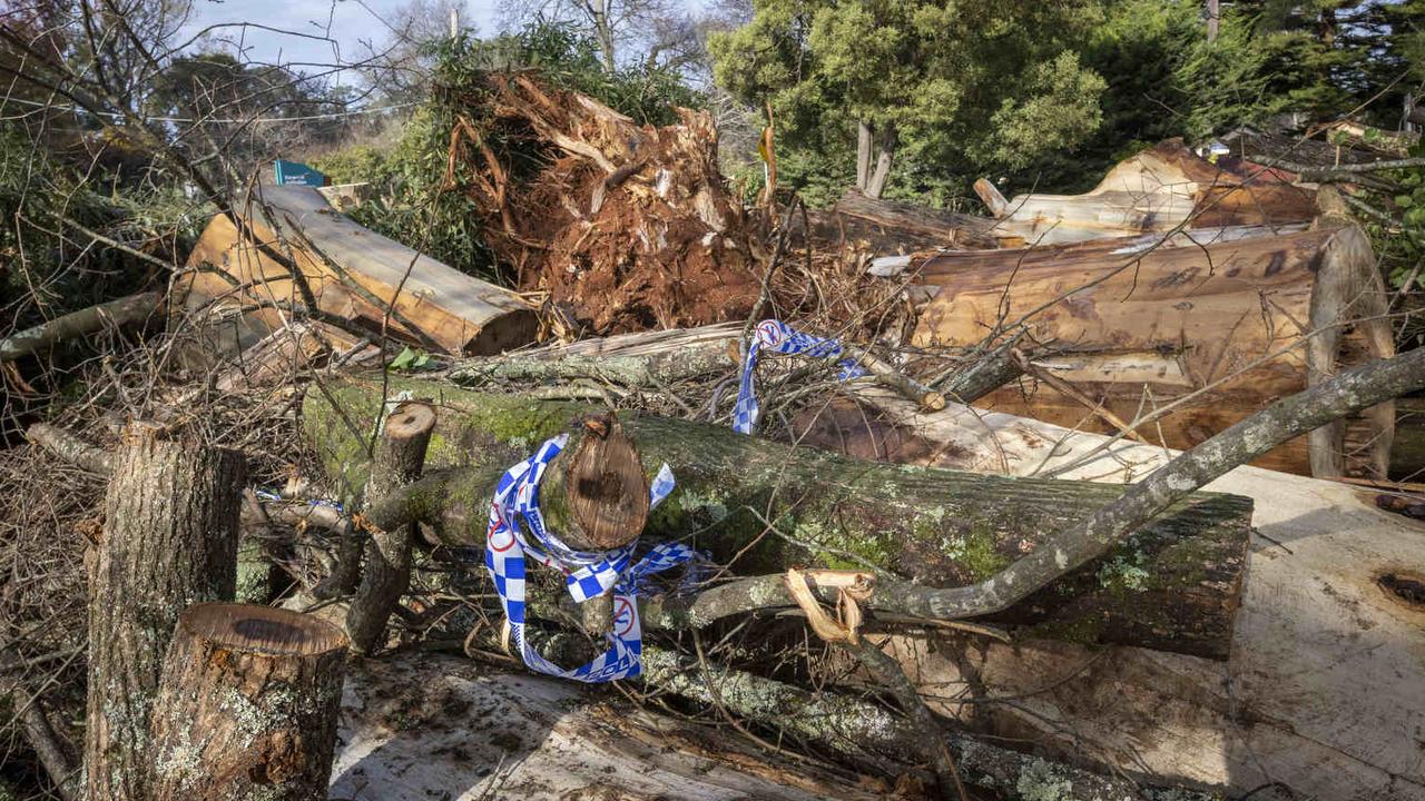 Damage in the Dandenong Ranges after last weeks storms brought down trees crushing many homes. Picture: NCA NewsWire /Wayne Taylor