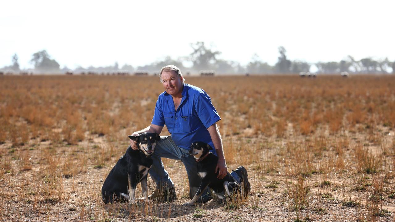 Grazier Wayne Brabrook on his bone-dry Trangie property, west of Dubbo. June, 2018. Picture: Britta Campion