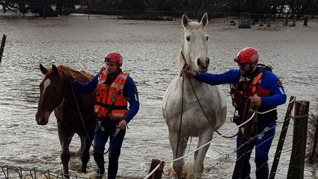 Since Friday, NSW SES has received more than 700 calls. Picture: NSW SES via NCA NewsWire