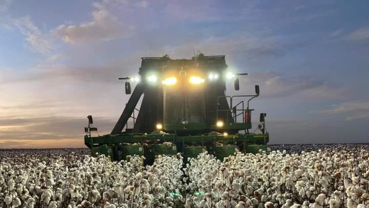 Cotton picking wraps up