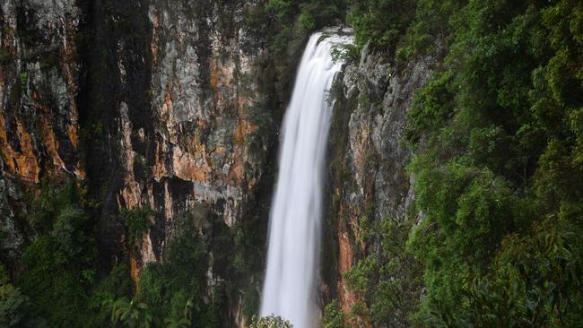 Purlingbrook waterfall in full flow at Springbrook after heavy rainfall. Photo: Steve Holland