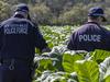Cops make huge $28m illegal tobacco bust in NSW’s west