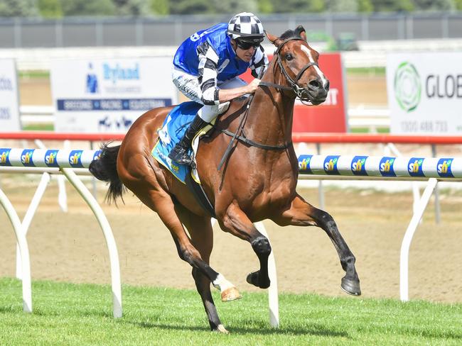 Porter ridden by Billy Egan wins the Veolia 3YO Maiden Plate at Sportsbet-Ballarat Racecourse on March 11, 2024 in Ballarat, Australia. (Photo by Pat Scala/Racing Photos via Getty Images)