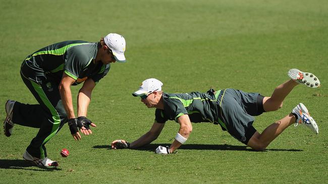 Ryan Harris and Steve Smith take part in a fielding drill.