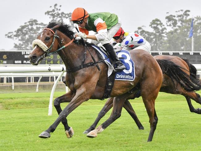 McGeehan is chasing back-to-back wins when he steps out on his home track of Warwick Farm on Wednesday. Picture: Bradley Photos