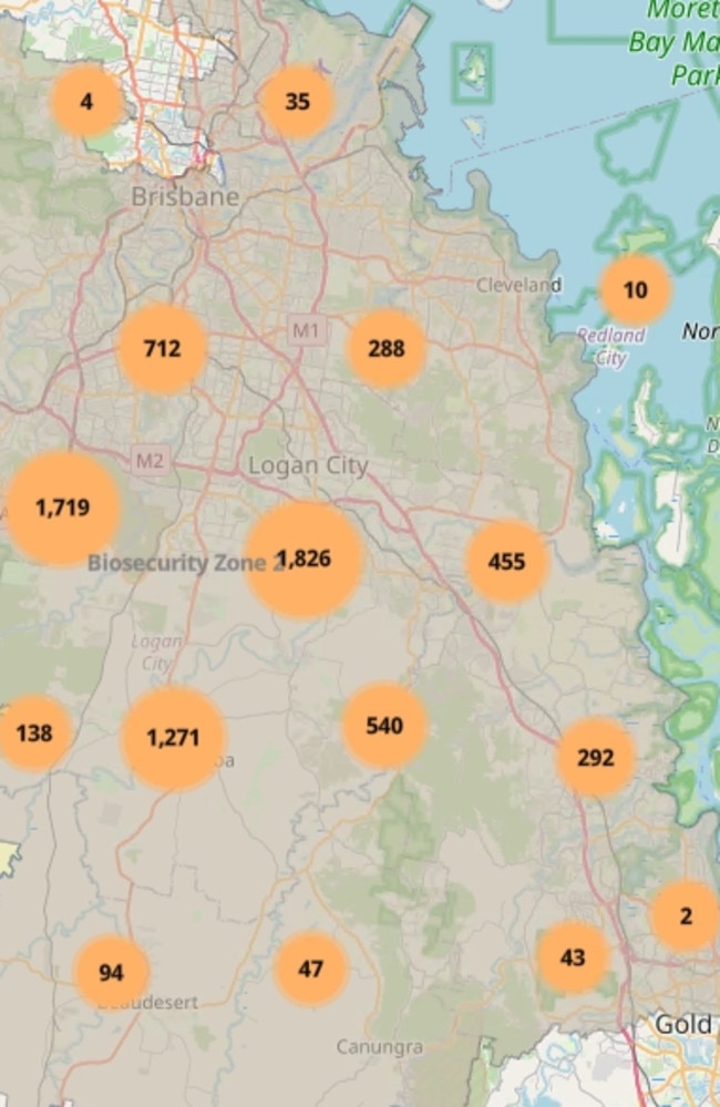 Fire ant mapping of the Gold Coast in mid-2023