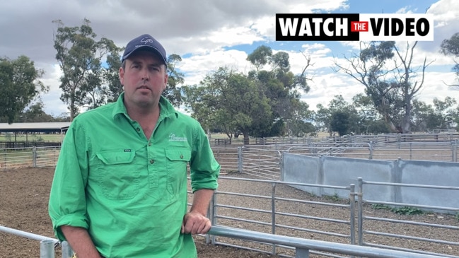 Carter family melds Merino tradition with farm growth mindset