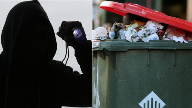 Stealing your bin space is the bread and butter of the bin bandit.