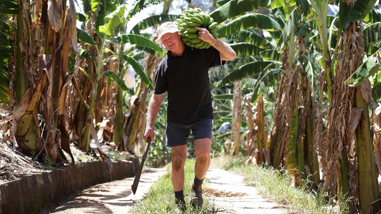 Jeremy Pierce’s father Robert was a banana farmer on the Tweed before being struck down by PSP. Picture: Adam Head