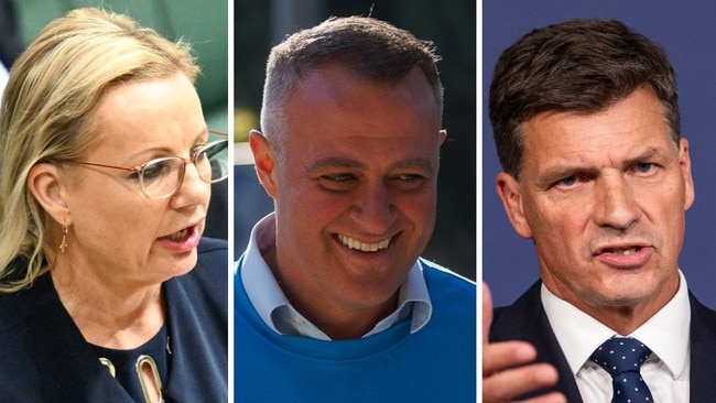 Sussan Ley, Tim Wilson and Angus Taylor. Picture: NewsWire