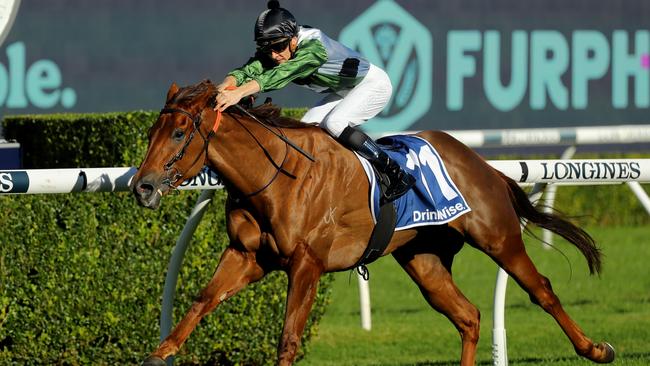 Passeggiata is one of the fastest horses in Sydney. Picture: Jeremy Ng-Getty Images