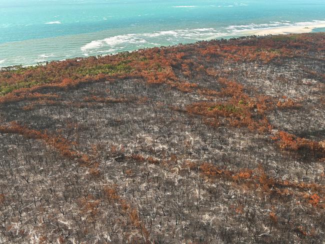 07/12/2020: The burnt aftermath of the bush fire on world heritage listed Fraser Island, north of the current fire front, which is in a no fly zone. There fire burnt to the beaches, and along the famous sand dunes, and continue to smoulder with smoke. Pic Lyndon Mechielsen