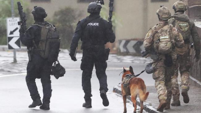 Critical Incident Response Team officers and the Dog Squad also assisted with the arrest. Picture: David Crosling