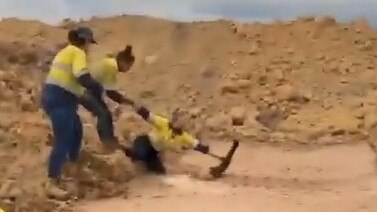 A Bowen Basin mine operator had no second thoughts about jumping into a deep muddy pit to rescue a stranded emu chick. Video: Bridget Duggan