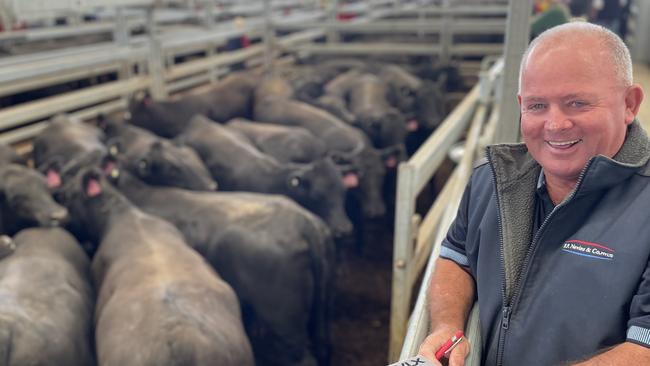 Chris Nevins of FP Nevins and Co agency bought 22 joined Angus heifers for $3050 for a client at the recent Ballarat F1 female sale.