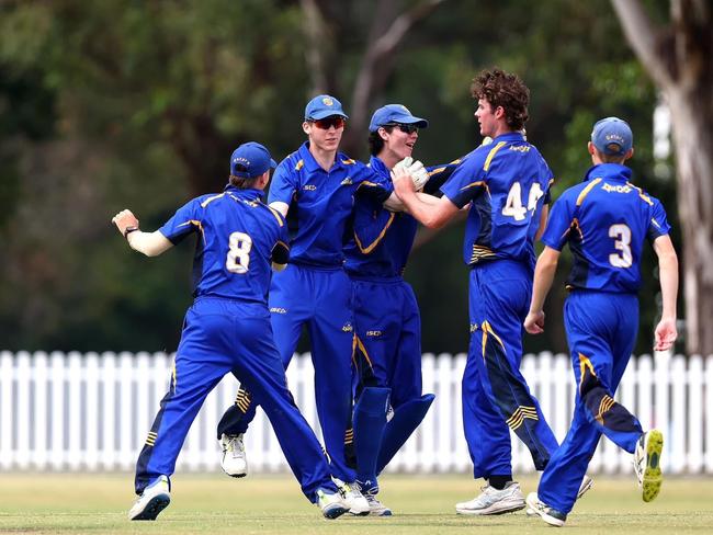 Gators players celebrate a wicket in Sunday's skirmish at Ian Healy Oval. Mens Under-19s club cricket action from Sunday's T20 final played between Sandgate-Redcliffe and South Brisbane. Picture: Queensland Premier Cricket.