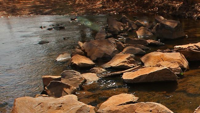 Tipperary Station manager David Warriner ,at a local creek that is fed by an aquifer under the station , talks about the possibility of new dams and irrigation in the top end of the Northern Territory , near Adelaide River, south of Darwin.