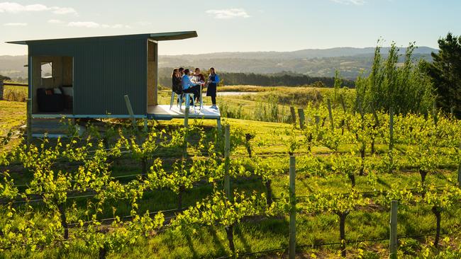 The Lane Vineyard in the Adelaide Hills. Picture: SATC