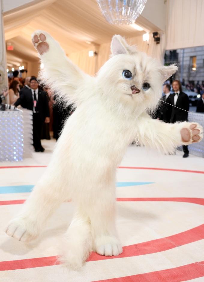 The designers of Jared Leto's Met Gala look: 'He wanted it to be like a  real cat', Met Gala 2023