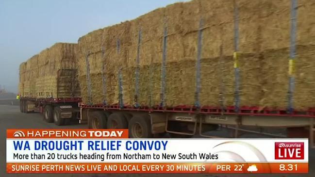 More than 20 trucks carrying hay worth almost half a million dollars are on their way to Condobolin. 