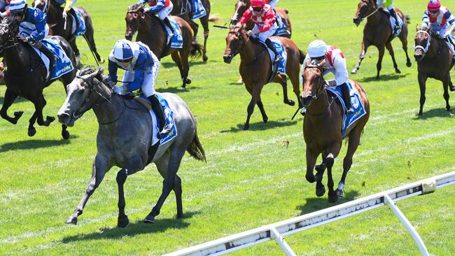 My Gladiola ridden by Jamie Mott wins the Sportsbet Blue Diamond Preview (F)(Chute) at Sportsbet Sandown Lakeside Racecourse on January 25, 2025 in Springvale, Australia. (Photo by Pat Scala/Racing Photos via Getty Images)