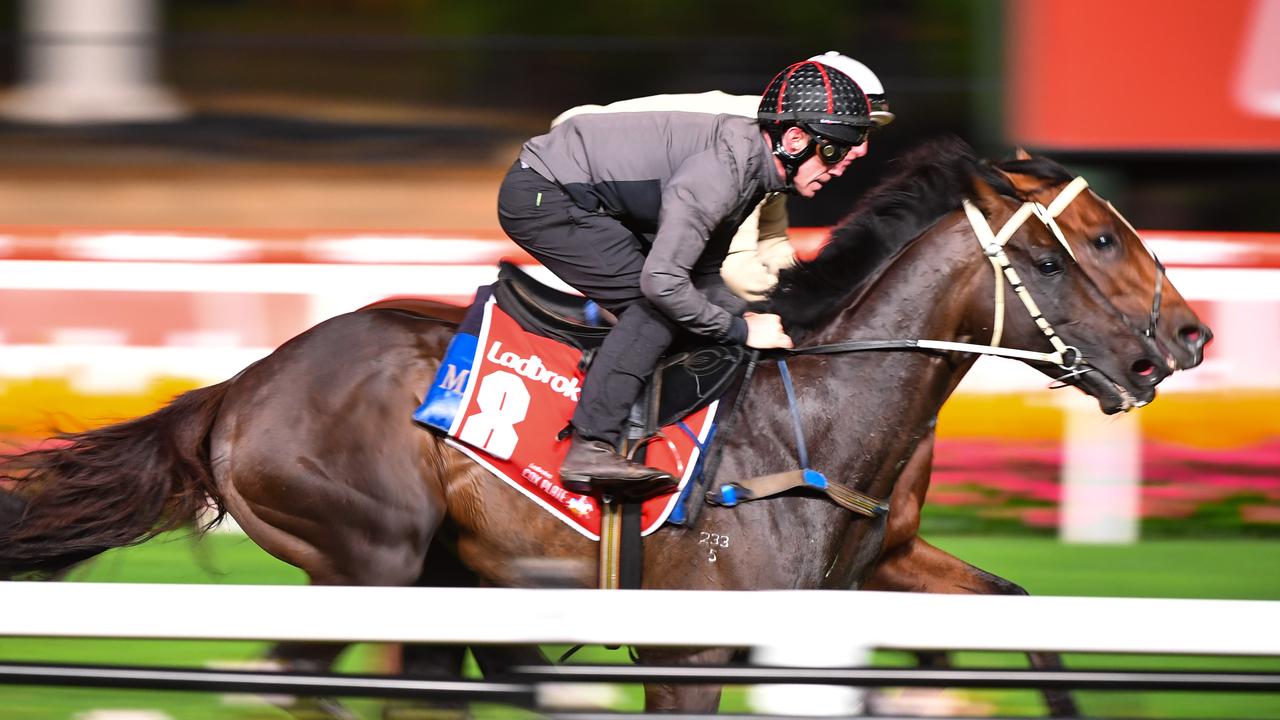 Moonee Valley Trackwork Session