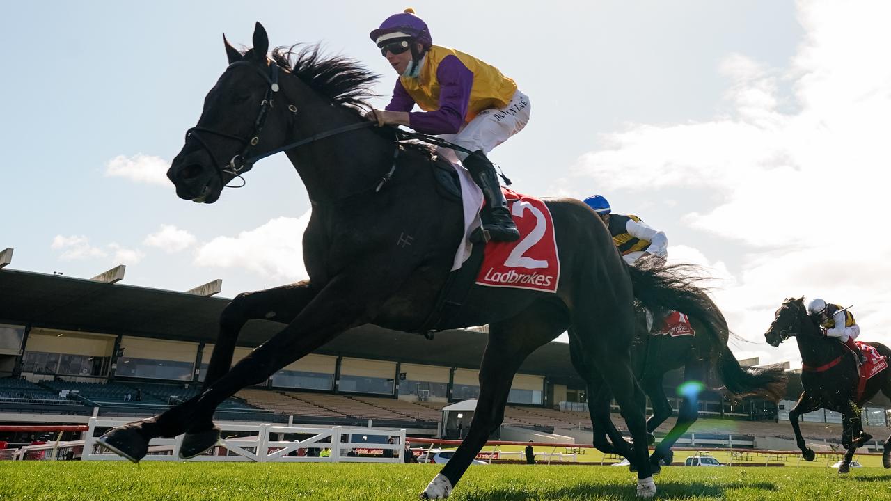 New Zealand trainers David and Emma-Lee Browne have entered Group 3 winner Elephant for the $5m All-Star Mile. Picture: Racing Photos via Getty Images.
