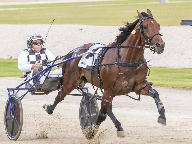 Race 4: Melton Park, Saturday 25-1-2025 Hertz Melton Casey Classic (No Nr.) Winner: Leap To Fame (3) Trainer & Driver: Grant Dixon Race Distance: 2,240 metres, Mile Rate: 1.52.6 photography: Stuart McCormick