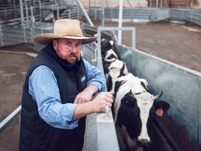 ‘Never seen anything like this’: Price of meat projected to soar in Victoria