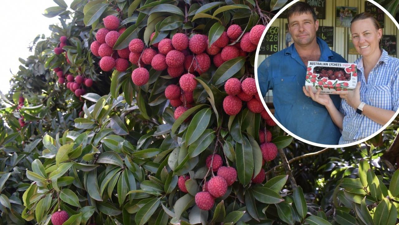 Paul and Krystal Caton with a pick from their 2022 lychee harvest.