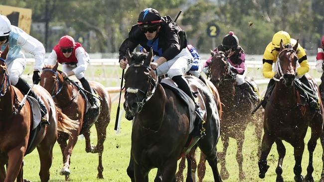 Aerodrome was too good in the Clarendon Stakes at Hawkesbury despite carrying topweight in the heavy conditions. Picture: Jeremy Ng/Getty Images