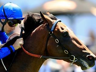 Saturday races at Randwick