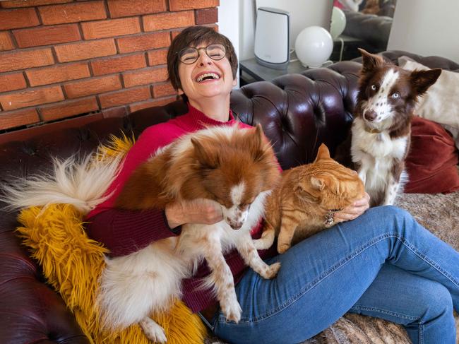 Kerstin Keimling with her pets Border Collie, Suvee, German Spitz, Benji, and two gingercats, Sheila and Bruce. or renters with pets, it can be a dogÃs life. With research showing tenancy leases do not have pet-friendly clauses, renters hoping to find accommodation to share with their animal companions need to take a savvy approach to home-hunting. Kingsford renter Kerstin Keimling has moved several times and takes a philosophical approach to seeking a home. Photo by Renee Nowytarger / News Local / 12/07/23