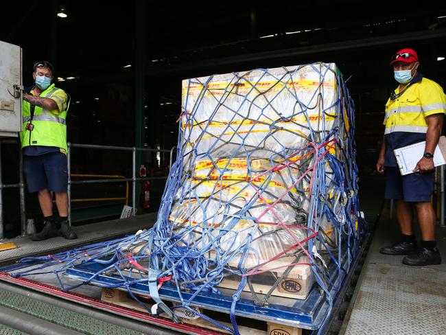 SYDNEY, AUSTRALIA - NewsWire Photos FEBRUARY 15, 2021, Pfizer Vaccine Arrives into Sydney International Airport on Singapore Airlines, Sydney, Australia. Picture: POOL via NCA NewsWire / Gaye Gerard