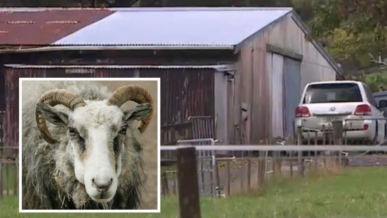 Grim new details after couple ‘killed by ram’