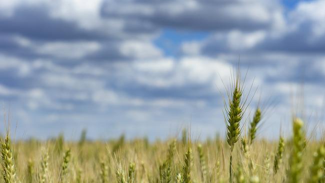 Latest technology: DATA Farm Innovation Centre at Longerenong College will serve as the information hub and a learning space where technology and data can be integrated into agriculture courses. Picture: ZOE PHILLIPS