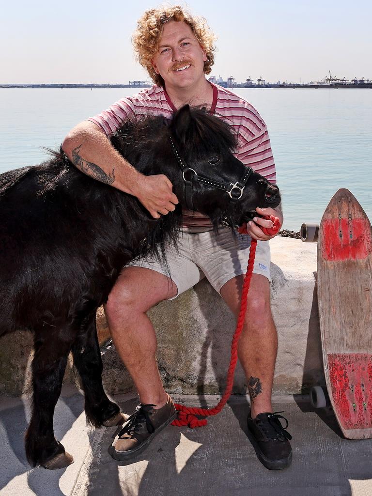 All this and cuddles too? Jimmy the miniature black stallion catches his breath after his latest round of essential exercise with owner Shane Hendricks. Picture: Toby Zerna