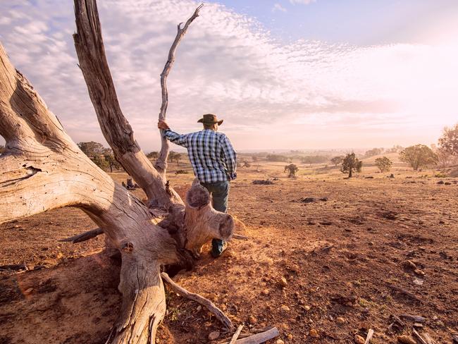 Farmers could be facing drought conditions before the end of 2023, climate scientists are warning. Picture: 2023