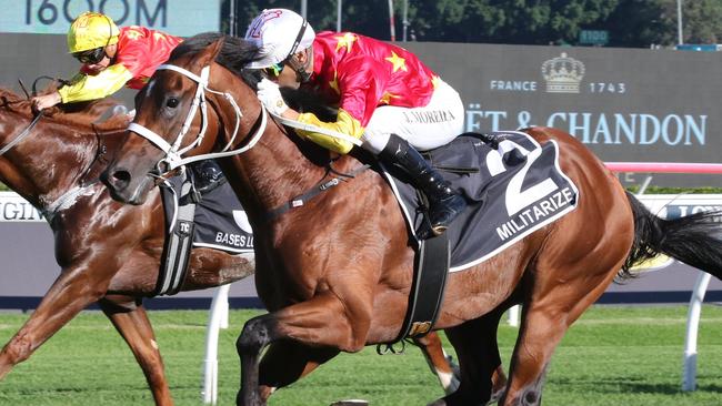 Dual Group 1 win Militarize can add the Golden Rose to his record. Picture: Grant Guy