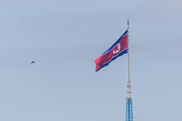 N Korea sending ‘large-scale’ troop deployment to Russia, Seoul spy agency says