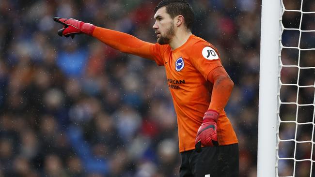 Mat Ryan had an outstanding debut season with Brighton.