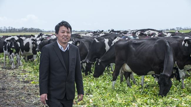Chinese investors eye Australia’s biggest cattle station