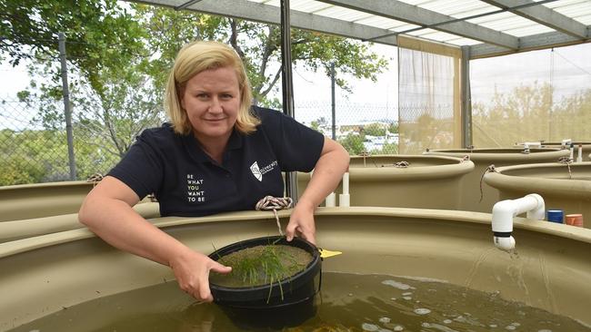 CQ University's Coastal Marine Ecosystems Research Centre at Gladstone director Dr Emma Jackson.