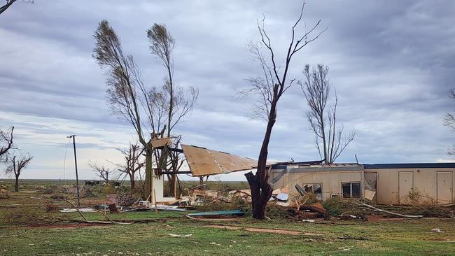 Nearby trees stripped of leaves. Picture: Pardoo Roadhouse and Tavern