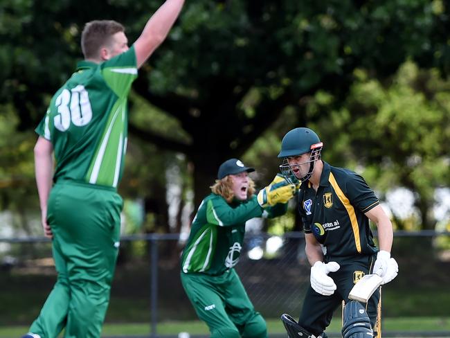 VSDCA North/East 1st XI Cricket: Croydon versus Donvale at Croydon Park. Bowler Hamish Paterson appeals for Jayden Clay. Picture: Steve Tanner