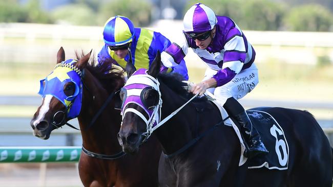 Easifar (right) has been the medium of good bets in race 9 at Rosehill. Picture: Trackside Photography