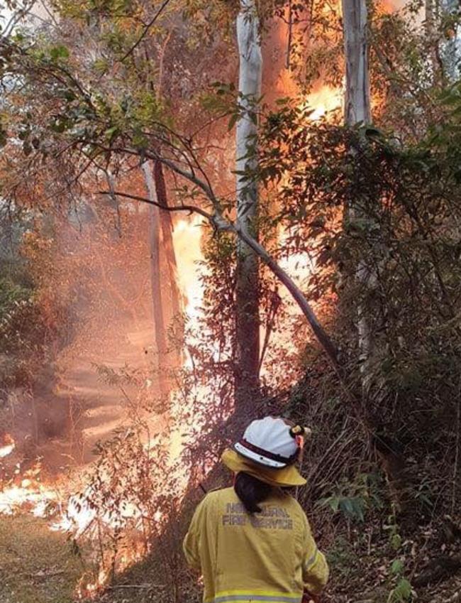 Berkeley Vale Rural Fire Brigade crews took part in critical containment operations yesterday to control the Three Mile fire.